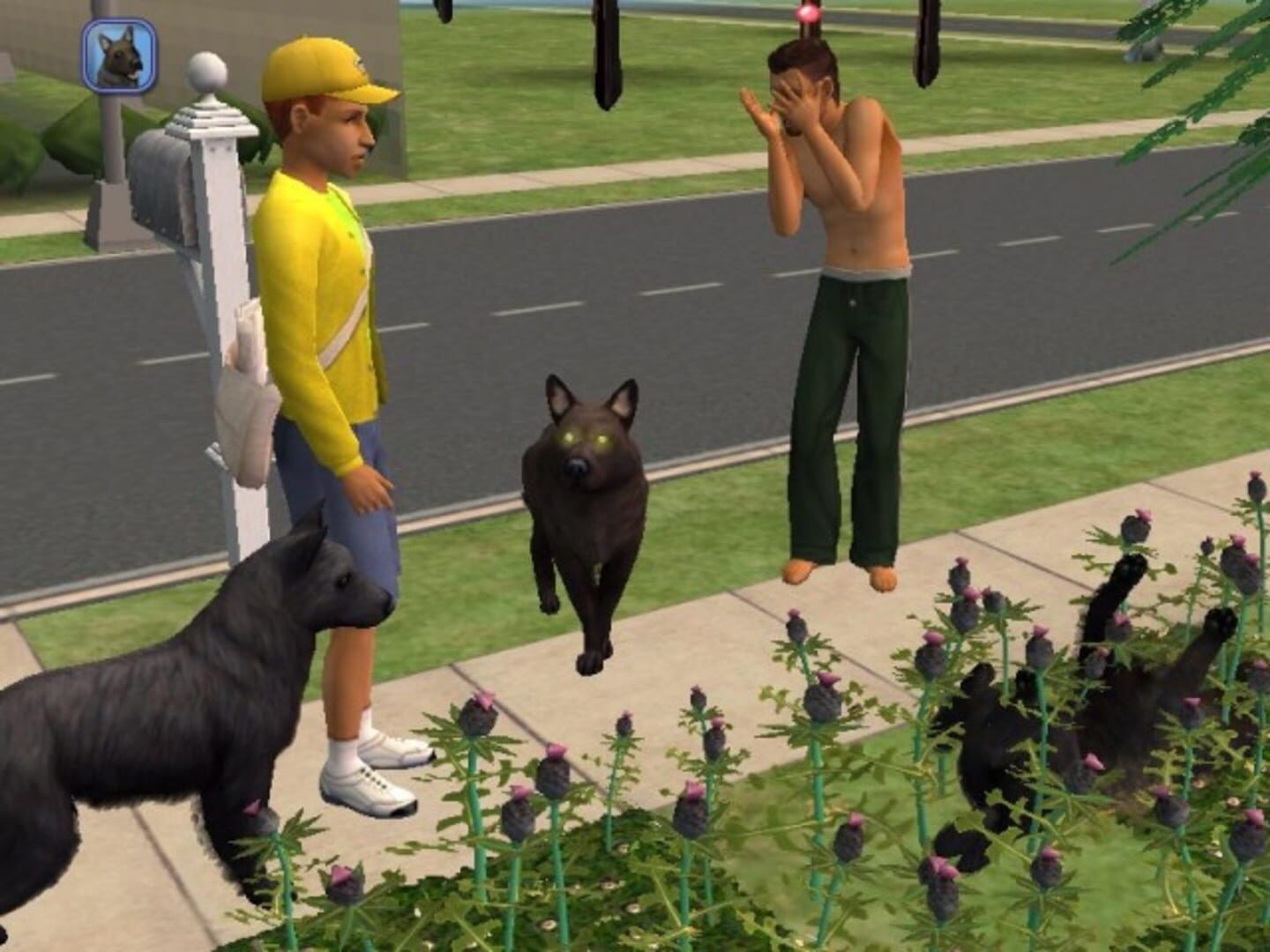 The Sims 2: Pets screenshot 4