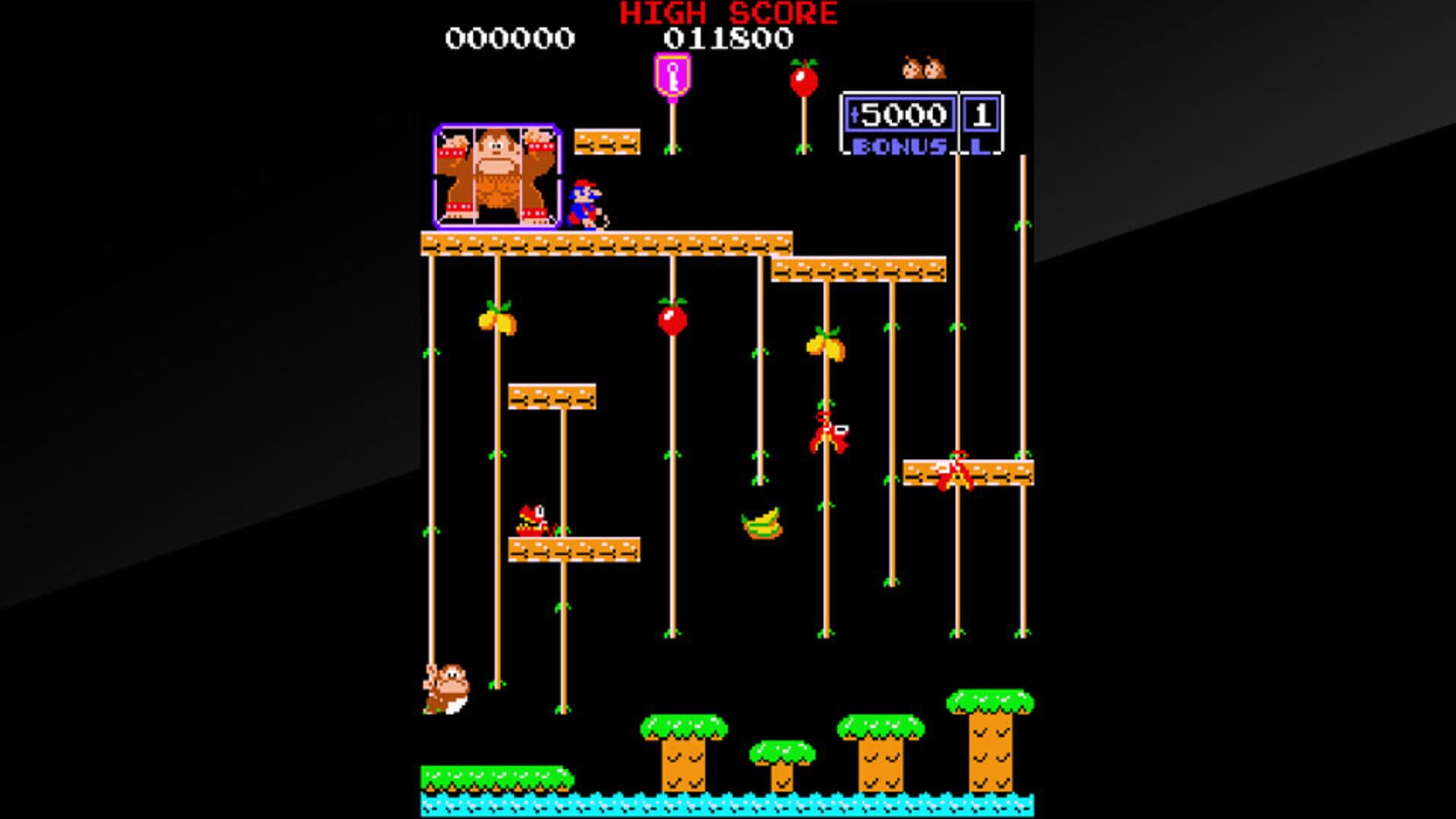 Arcade Archives: Donkey Kong Jr. screenshot 3