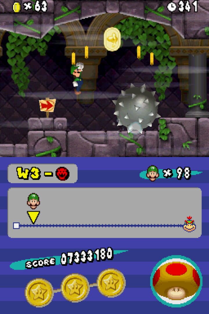 Newer Super Mario Bros. DS screenshot 1