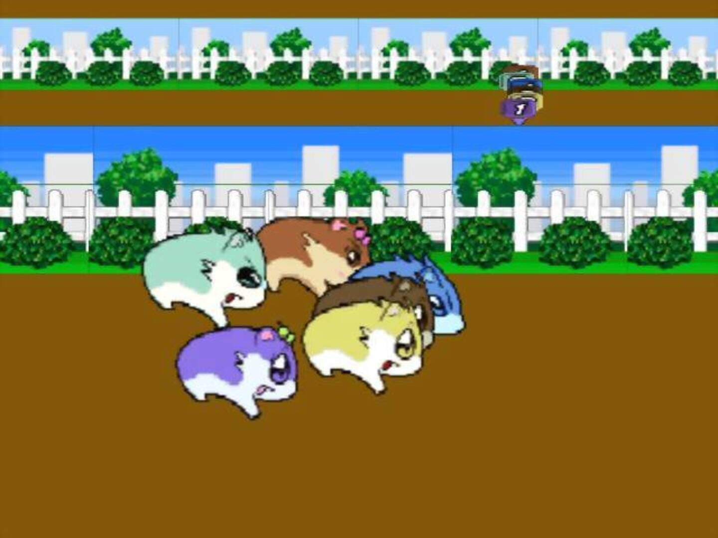 Hamster Monogatari 64 screenshot 1