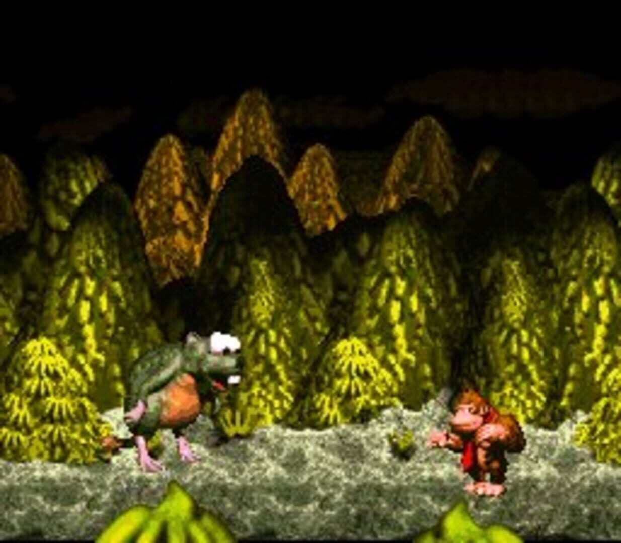 Donkey Kong Country screenshot 6