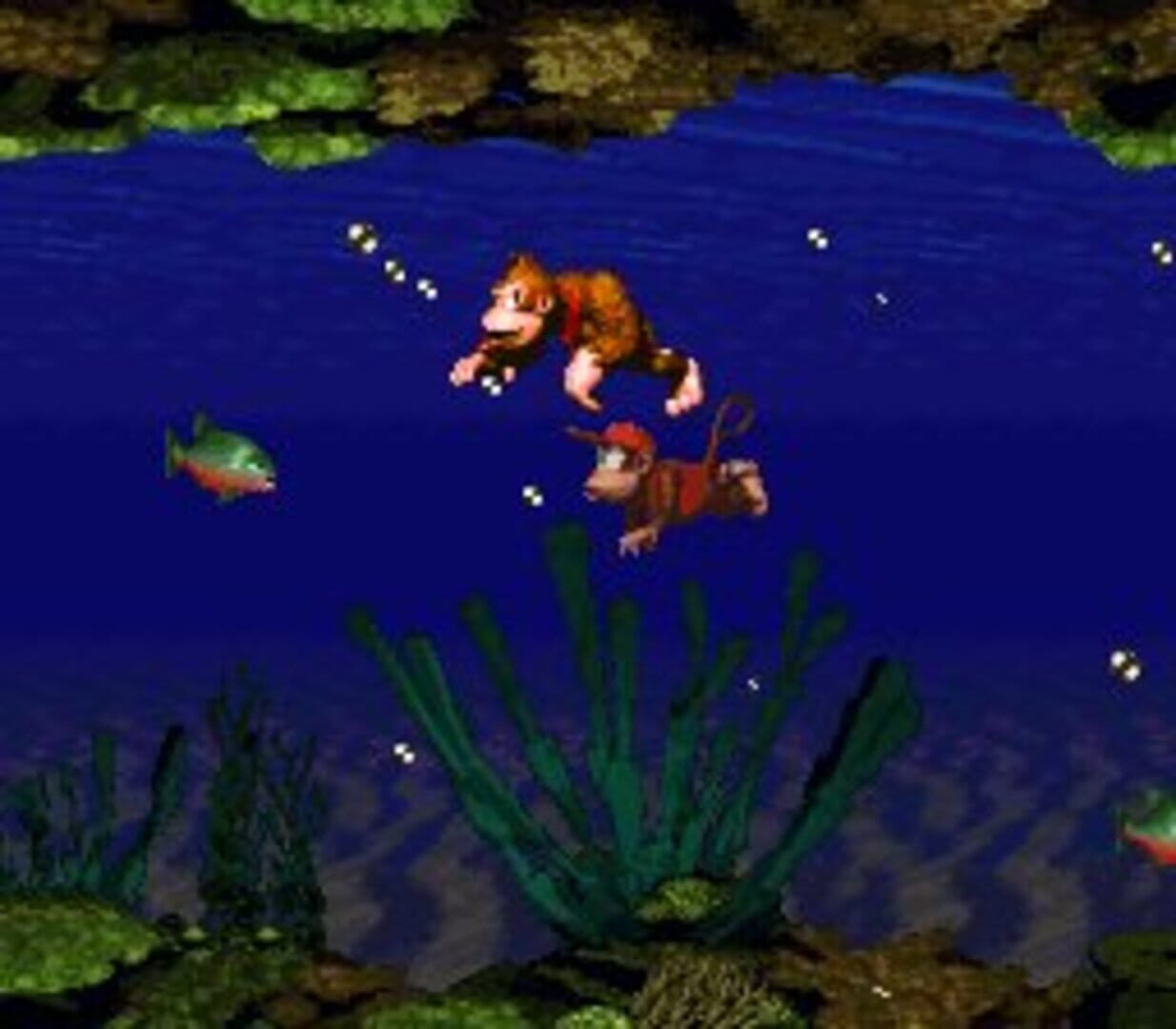 Donkey Kong Country screenshot 9