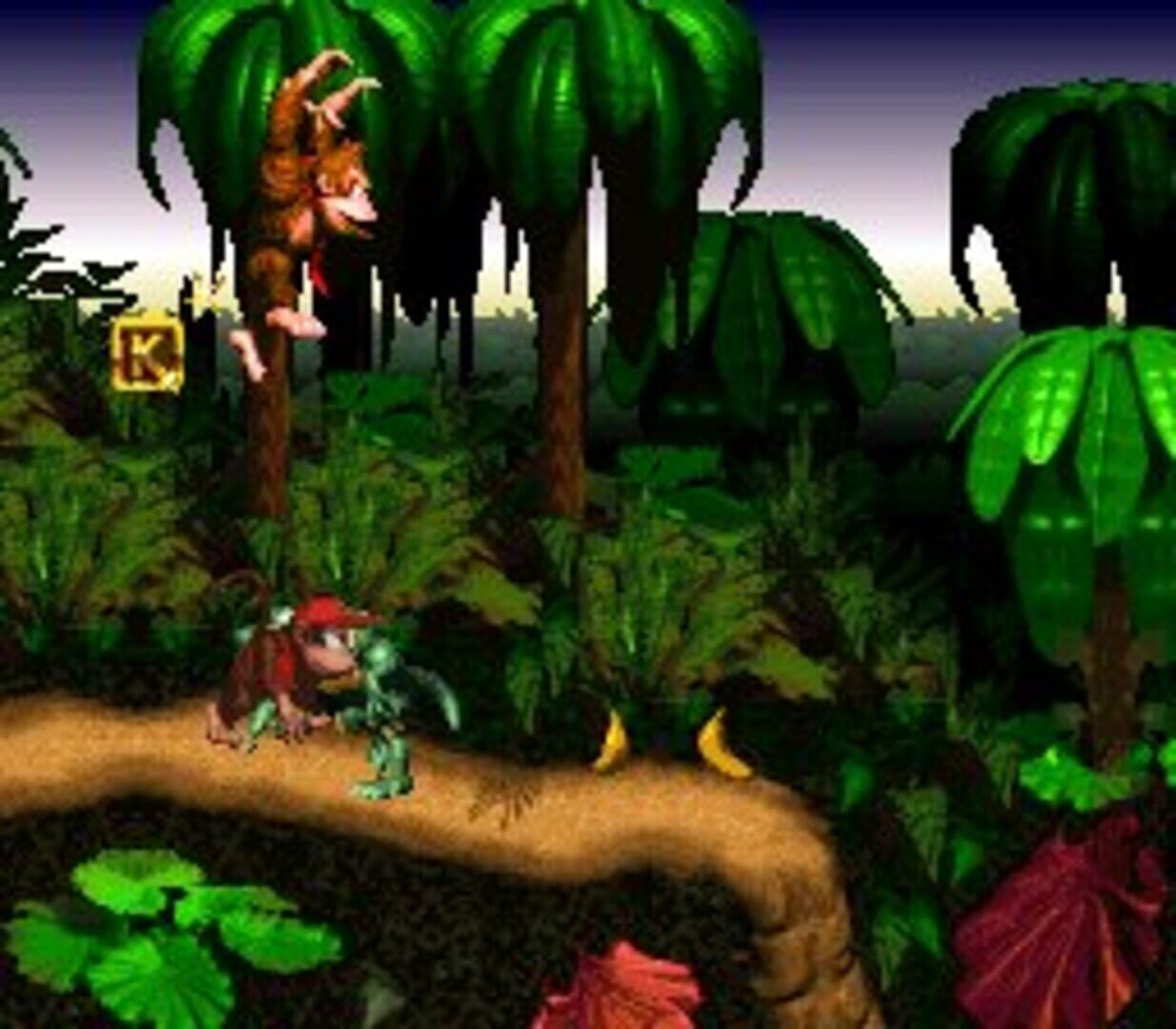 Donkey Kong Country screenshot 11