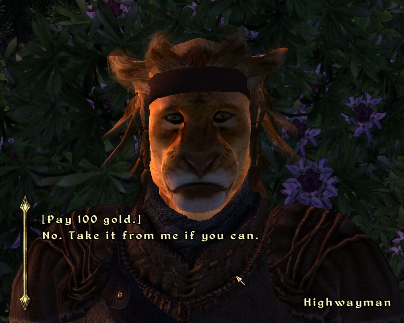 The Elder Scrolls IV: Oblivion - Spell Tomes screenshot 2