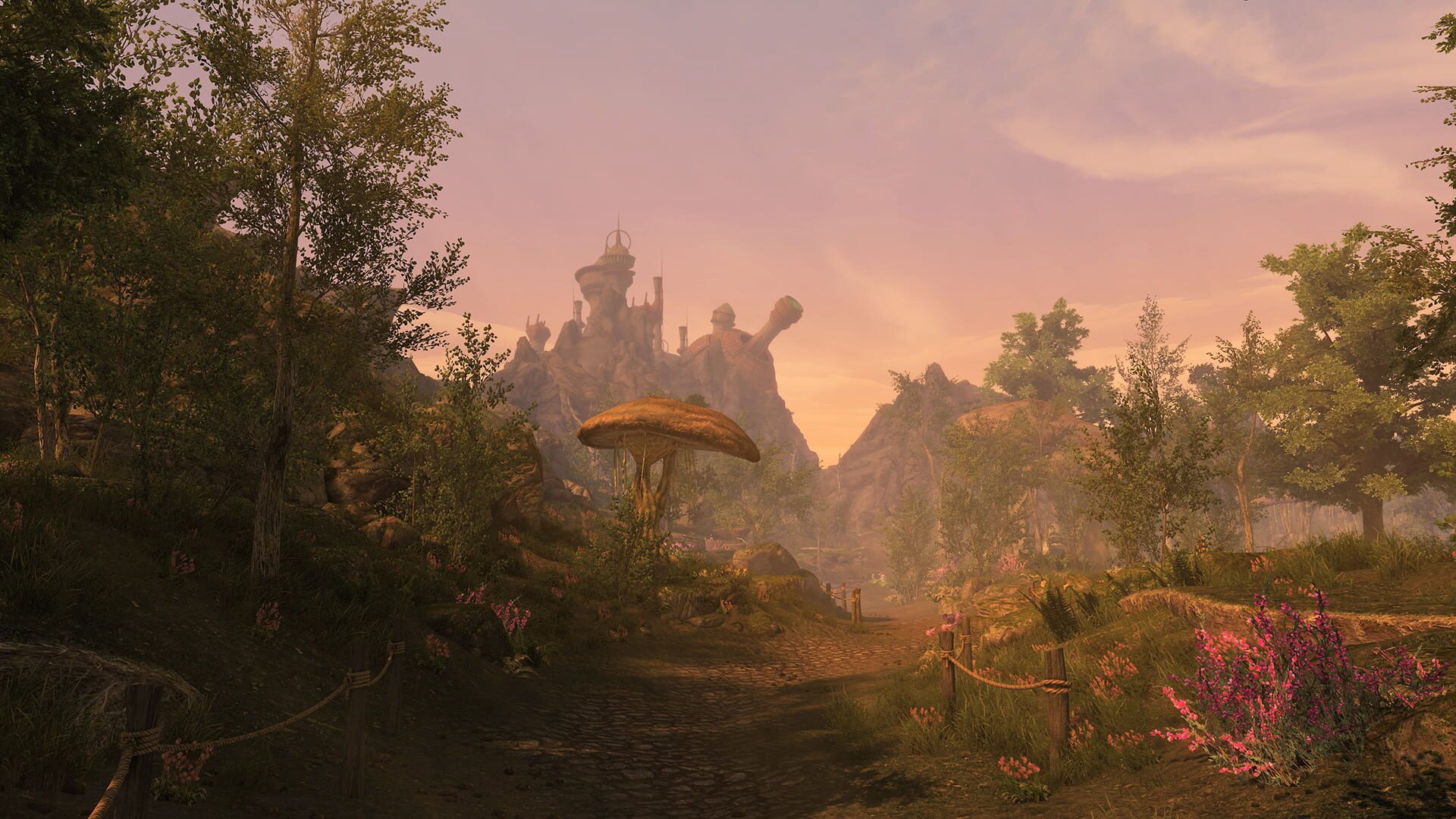 The Elder Scrolls Renewal: Skywind screenshot 5