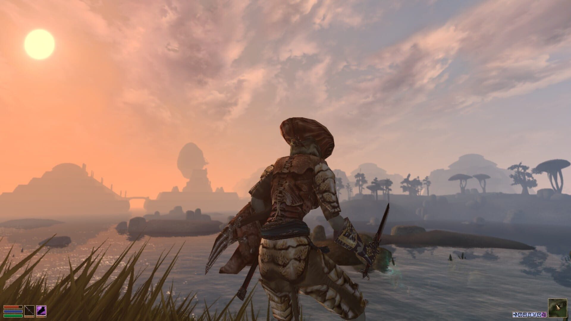 The Elder Scrolls III: Morrowind screenshot 8