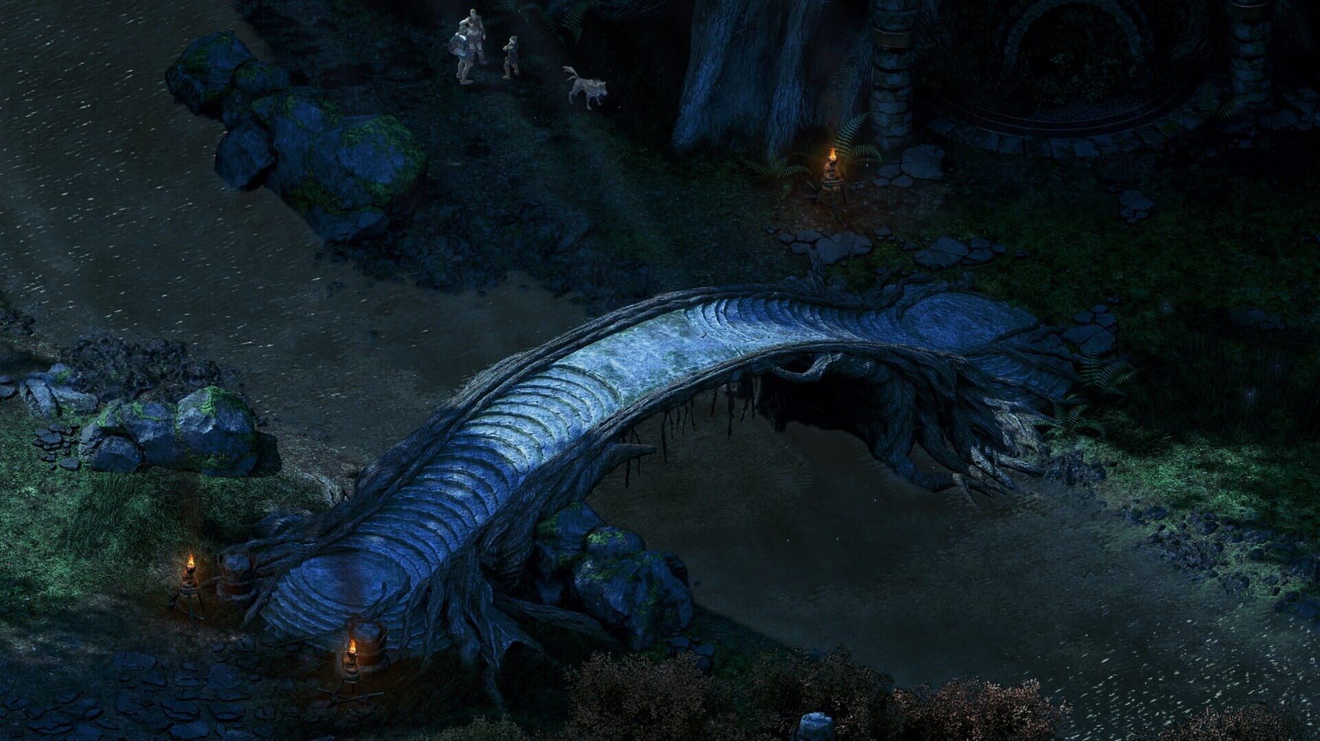 Pillars of Eternity: Hero Edition screenshot 6