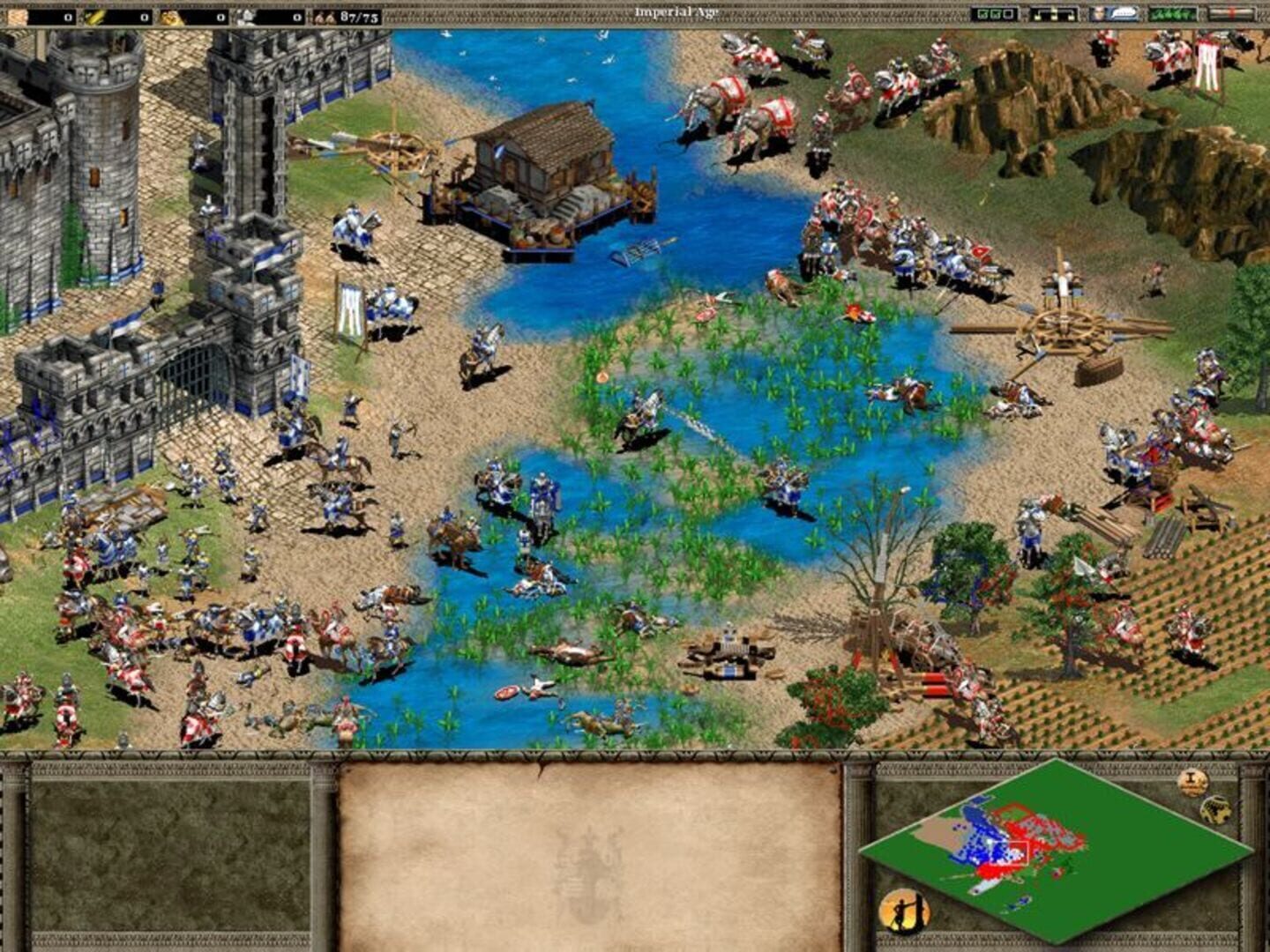 Age of Empires II: The Age of Kings screenshot 10