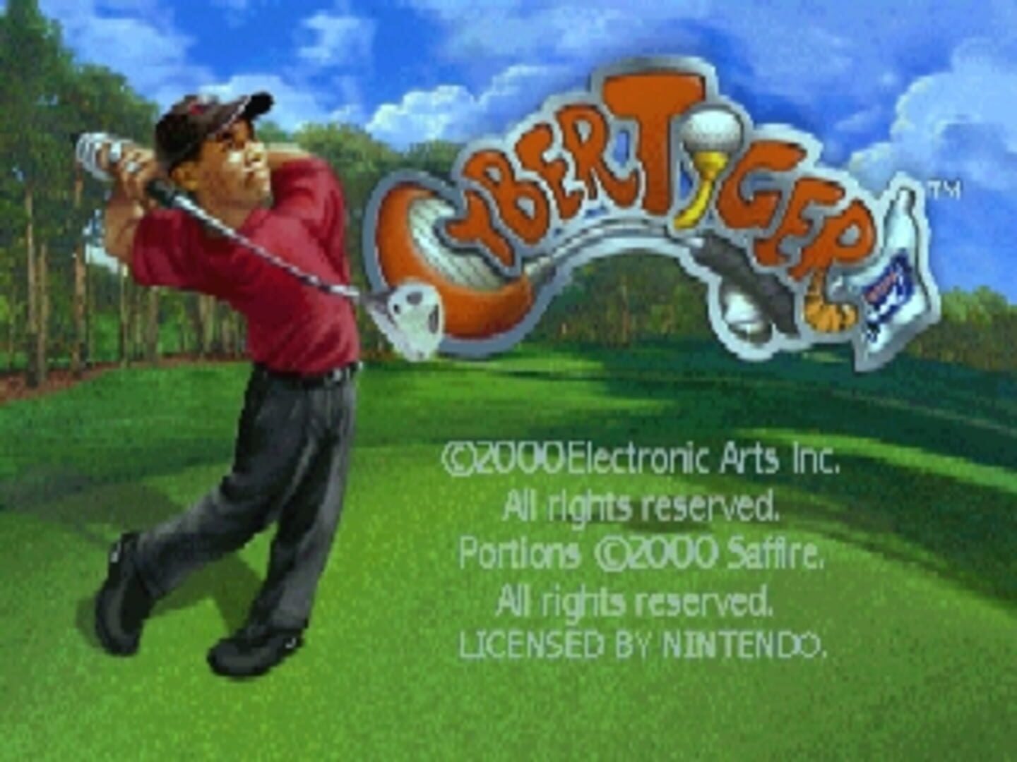 Cyber Tiger screenshot 1