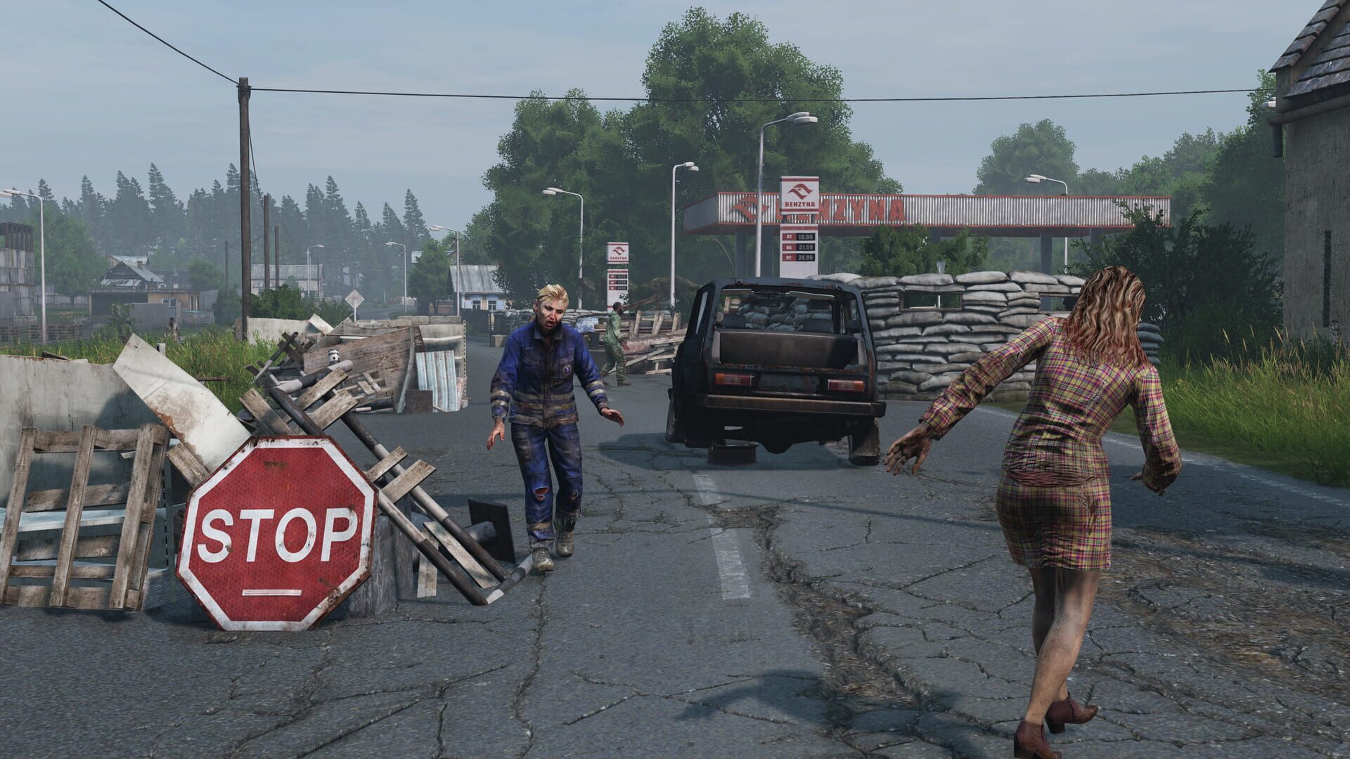 DayZ: Livonia screenshot 10