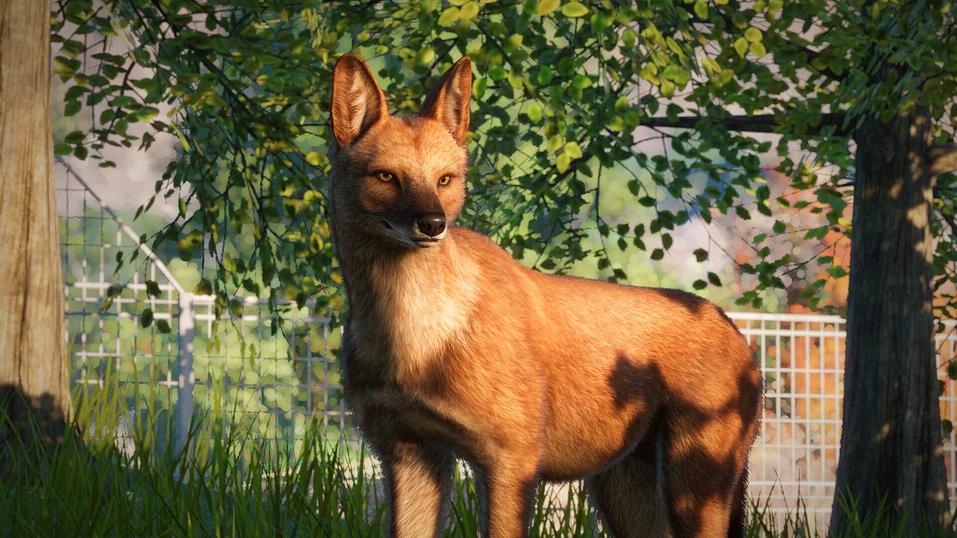 Planet Zoo: Southeast Asia Animal Pack screenshot 5