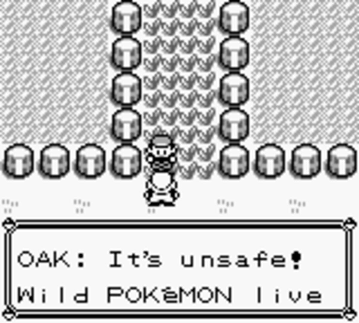 Pokémon Red Version screenshot 1