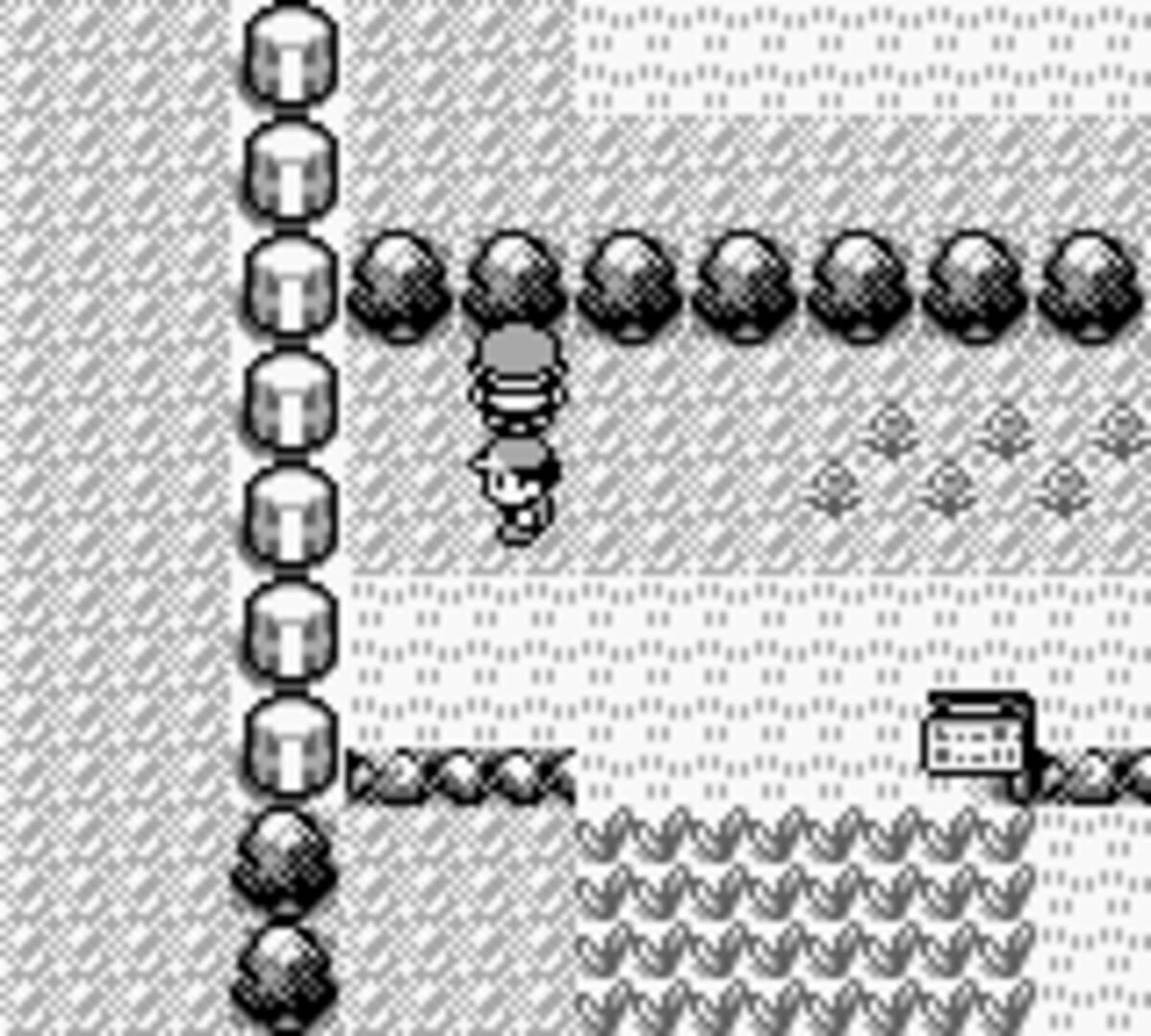 Pokémon Red Version screenshot 4