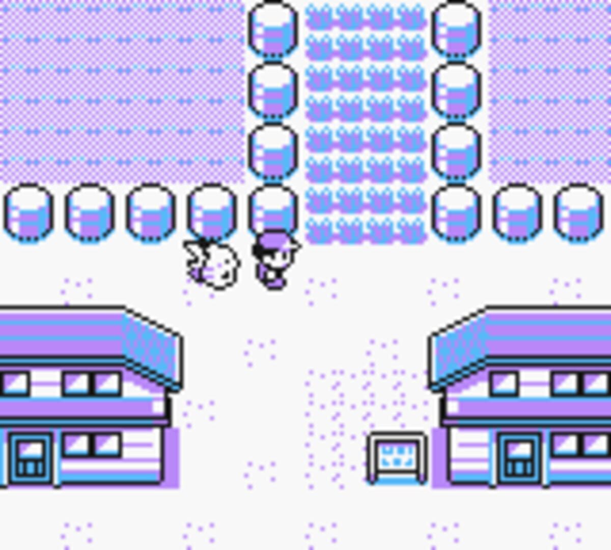 Pokémon Yellow Version: Special Pikachu Edition screenshot 2