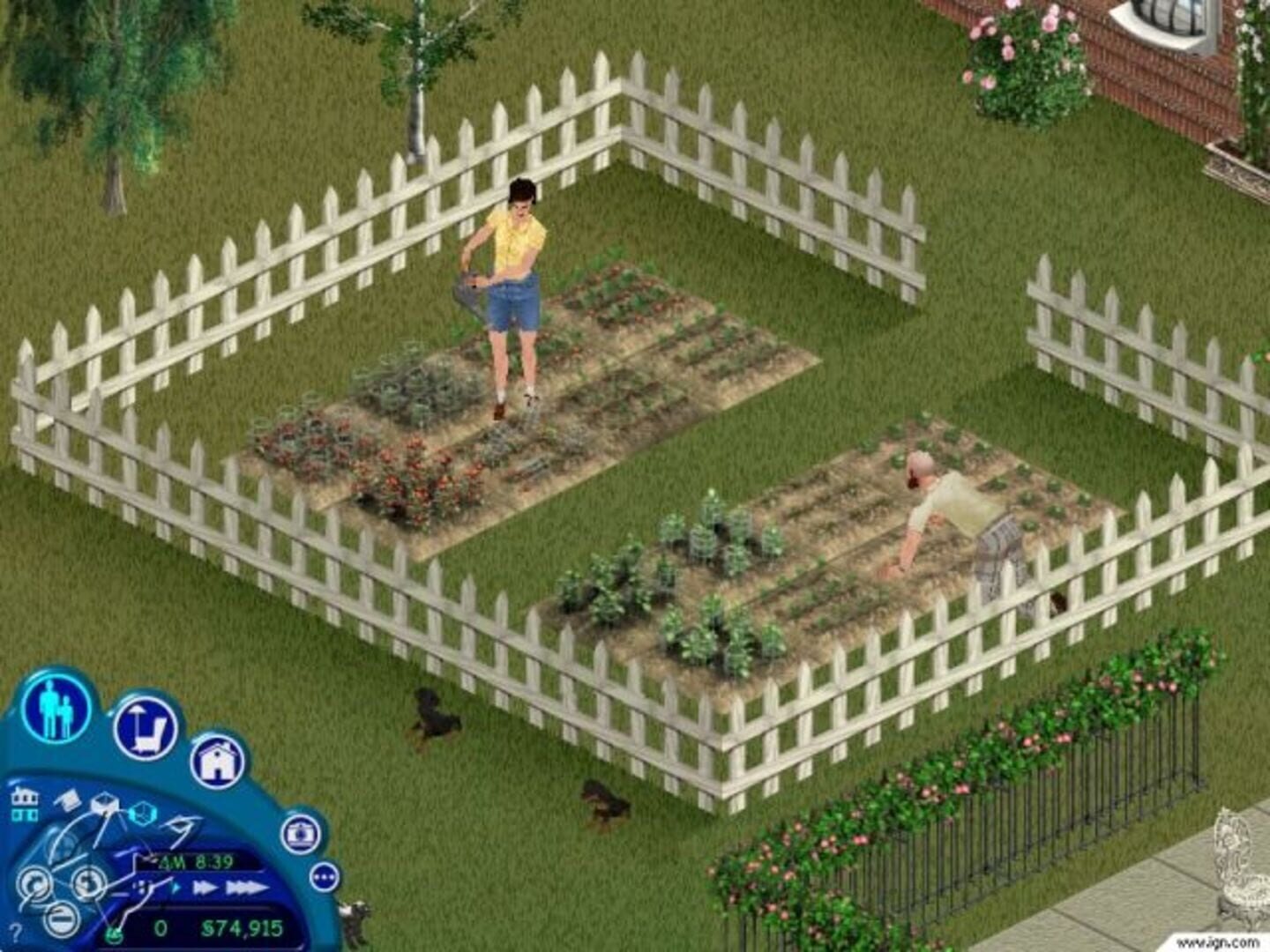 The Sims: Unleashed screenshot 7