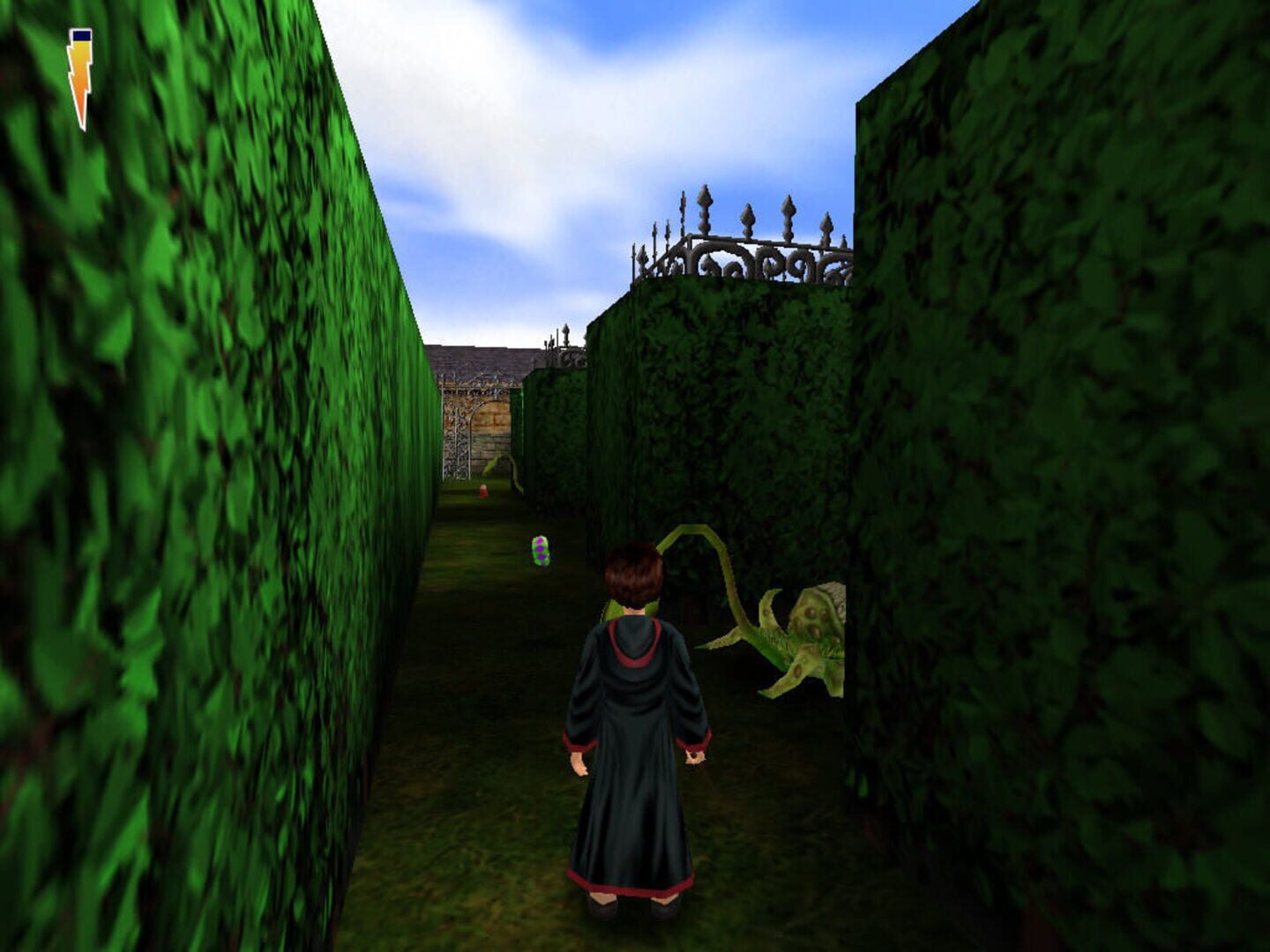 Harry Potter and the Sorcerer's Stone screenshot 5