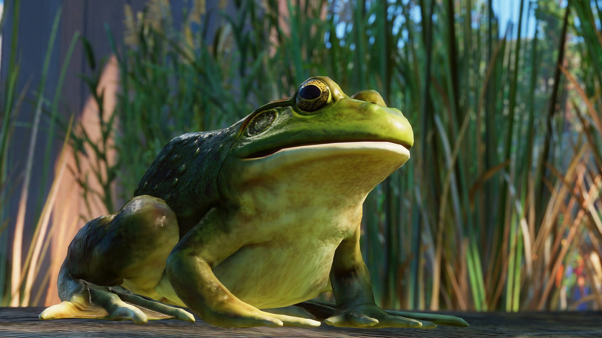 Planet Zoo: North America Animal Pack screenshot 8