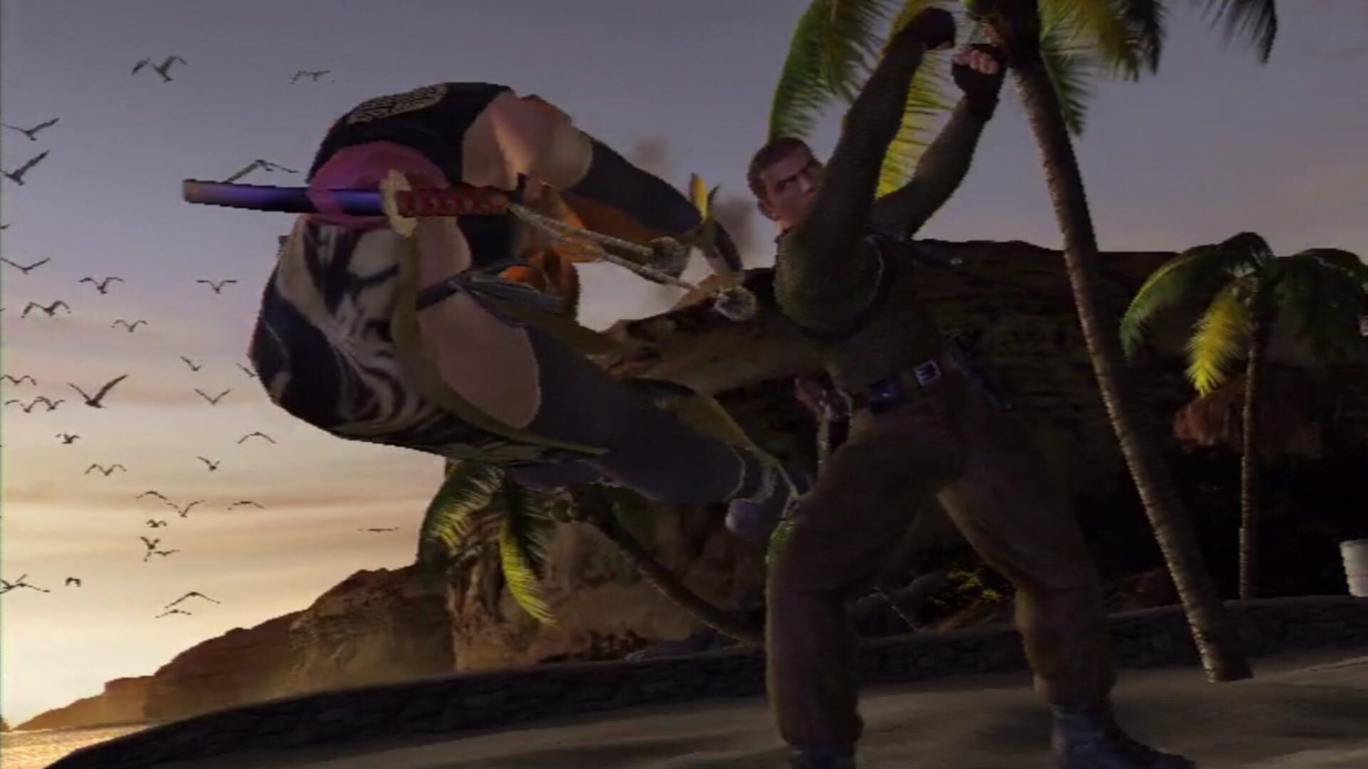 Dead or Alive 3++ screenshot 2
