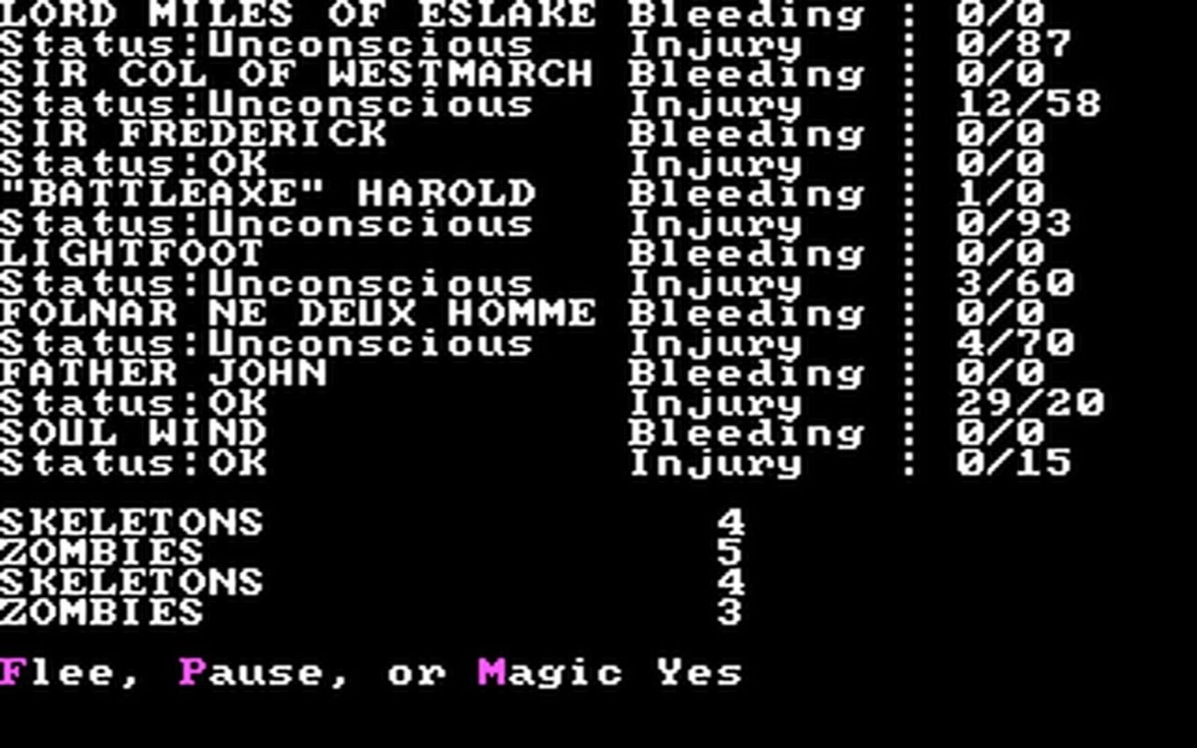 Wizard's Crown screenshot 2