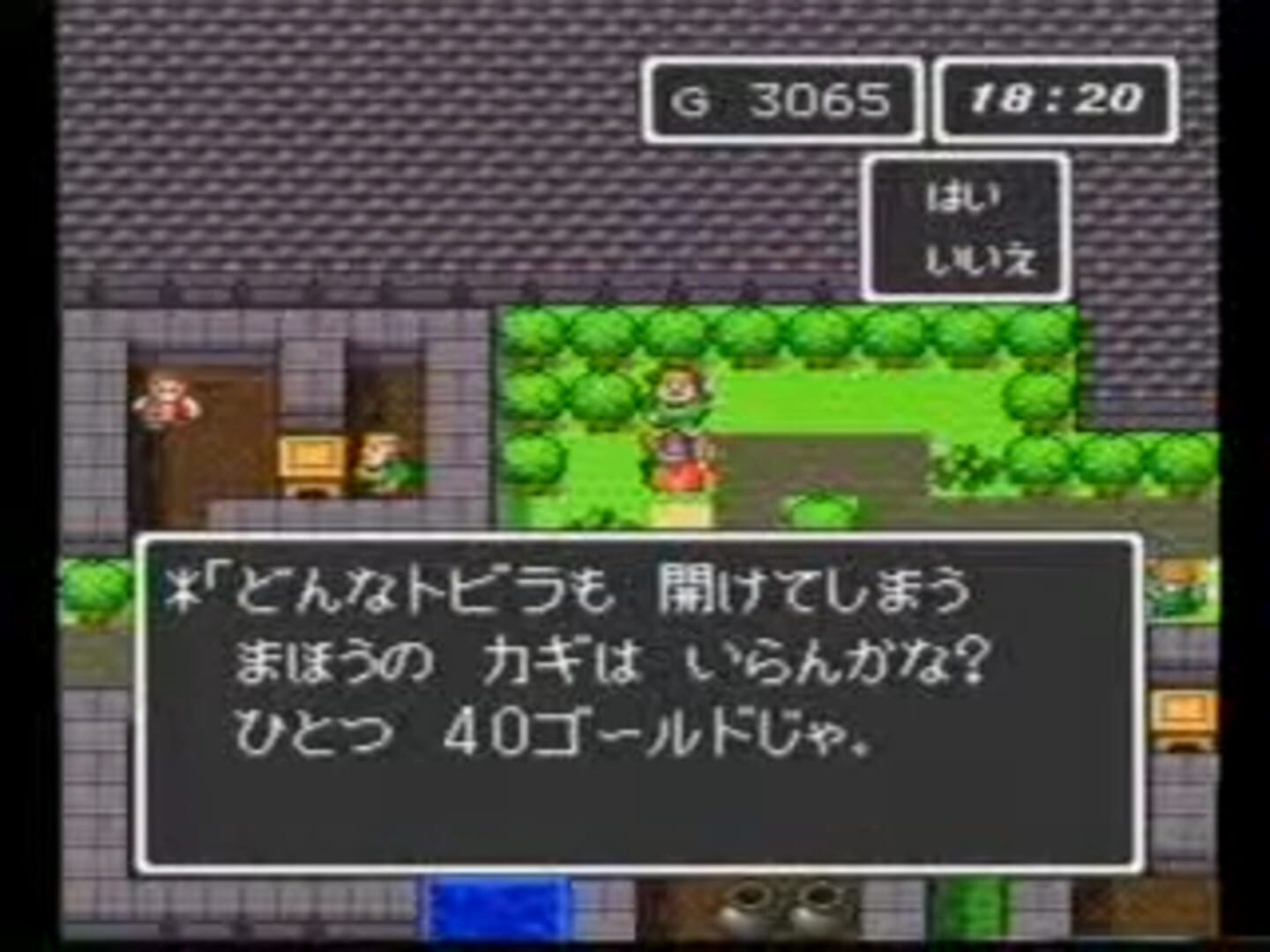 BS Dragon Quest: Dai-2-wa screenshot 1