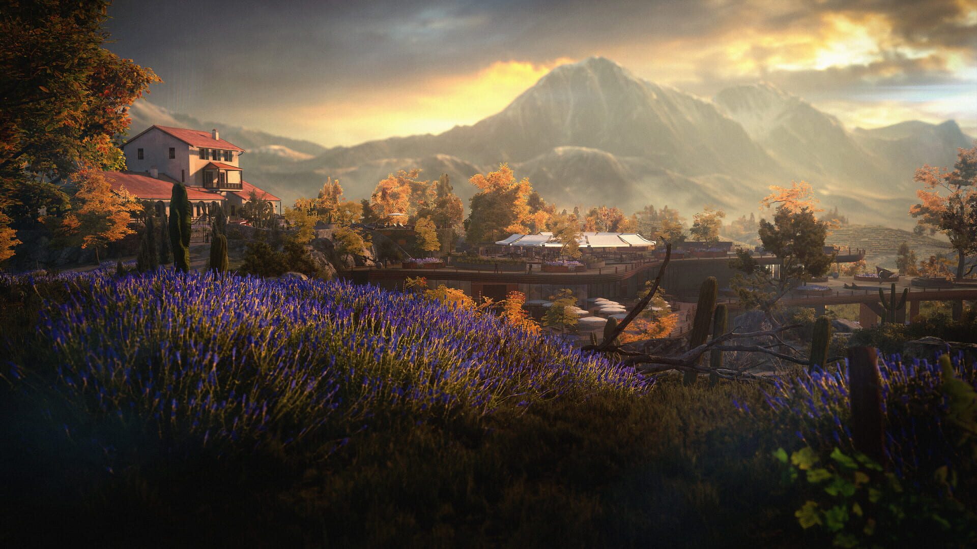 Hitman 3: Mendoza screenshot 6