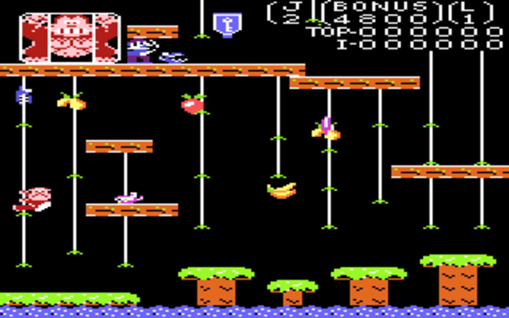 Donkey Kong Junior screenshot 1