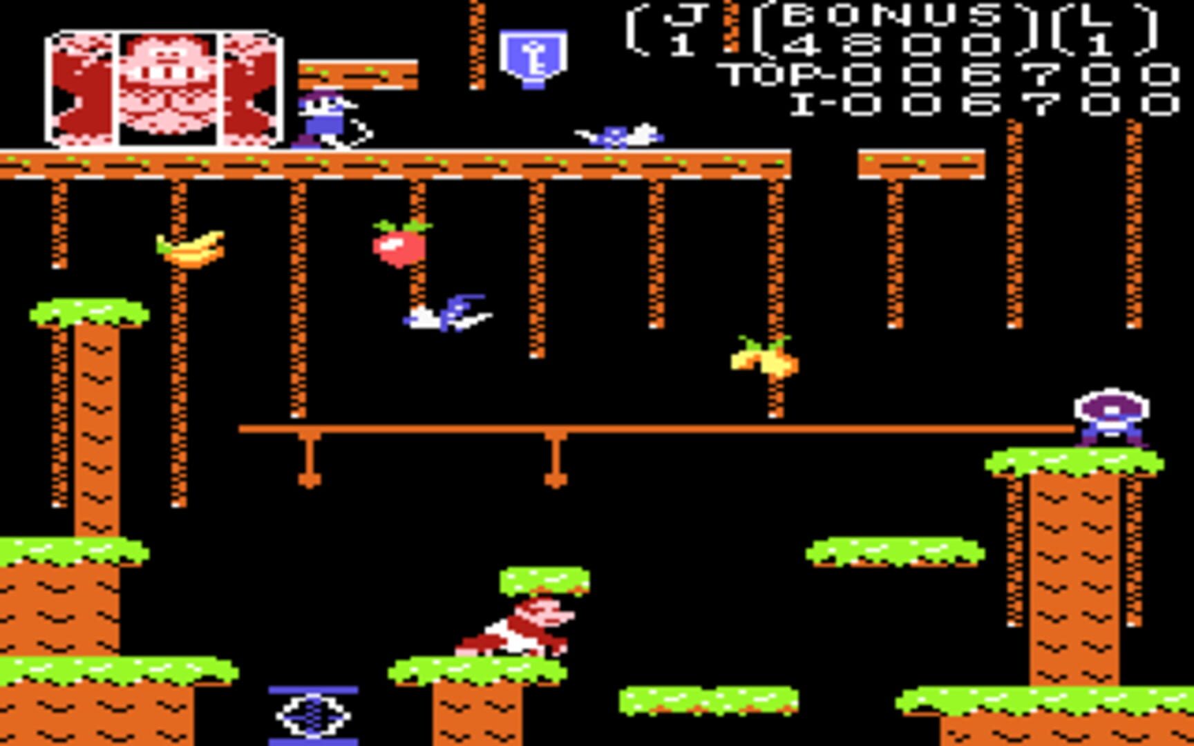 Donkey Kong Junior screenshot 2