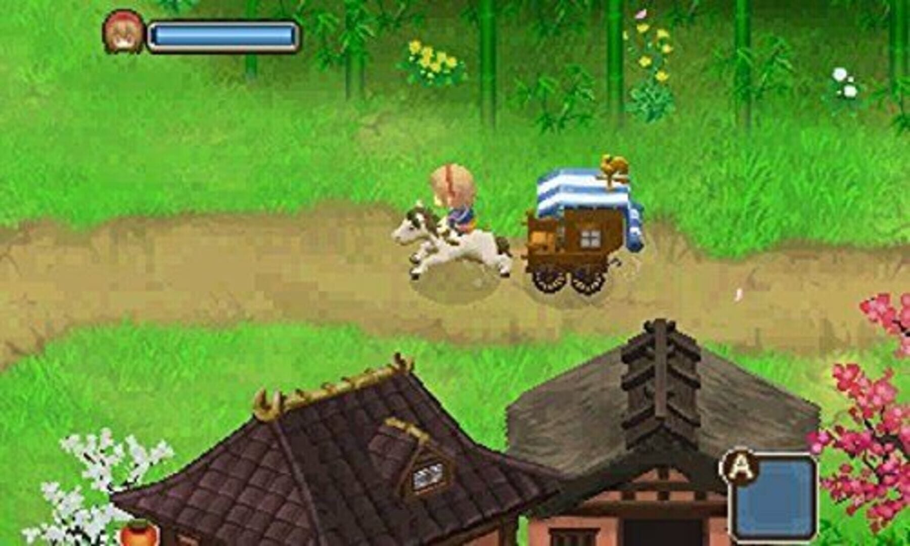 Bokujou Monogatari: Futago no Mura+ screenshot 1