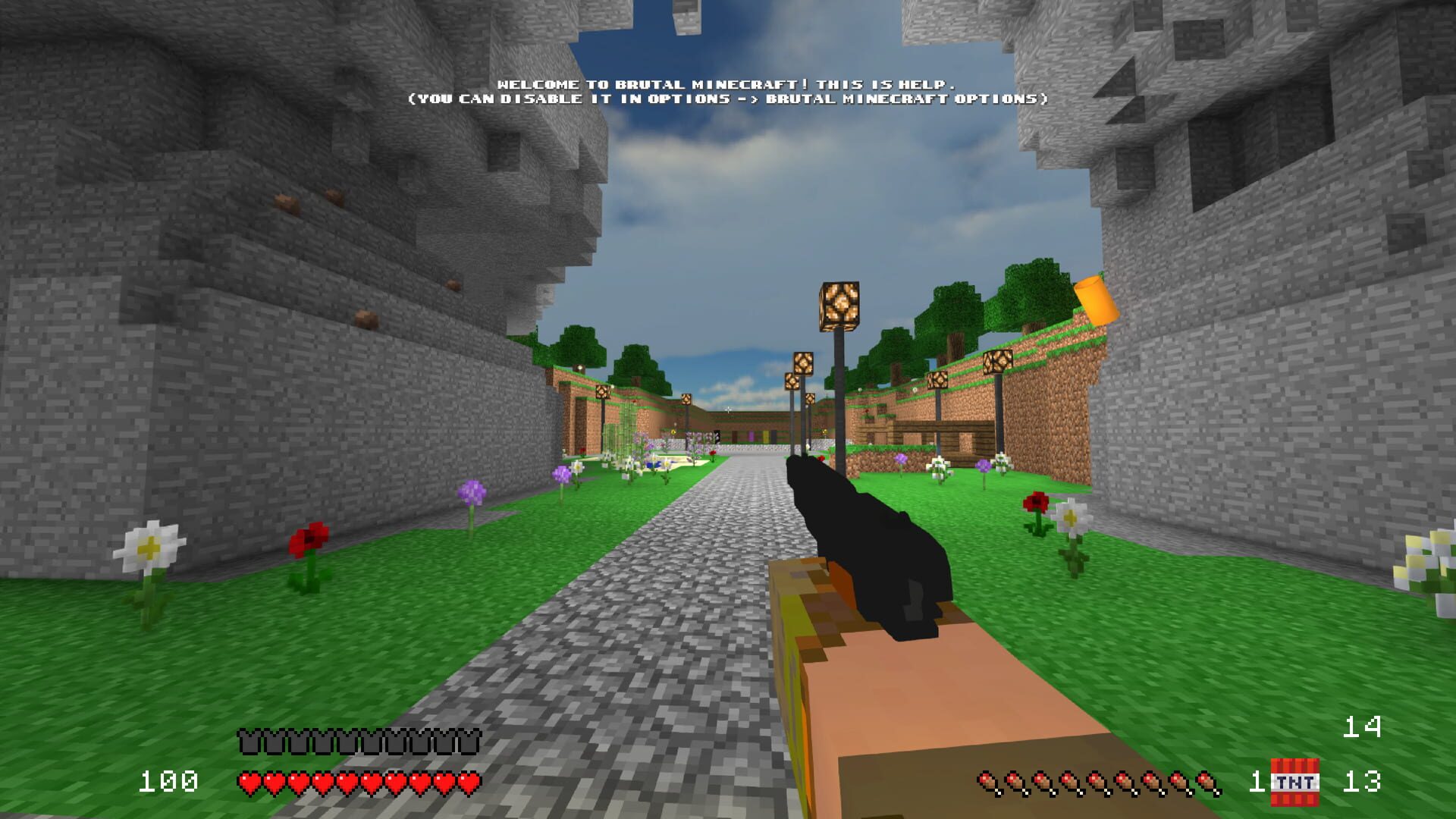 Brutal Minecraft Eternal screenshot 2