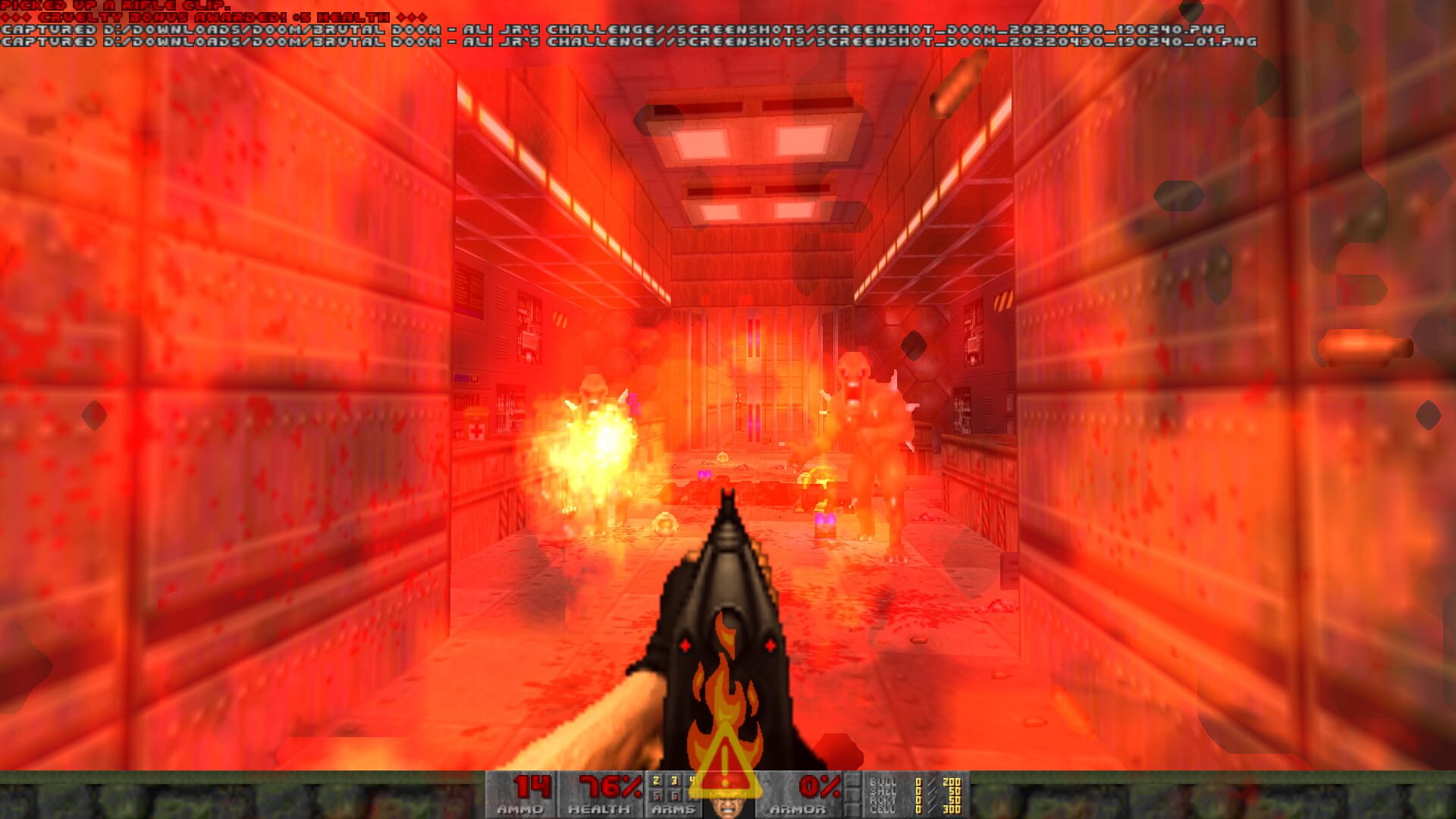 Brutal Doom: Ali Jr's Challenge screenshot 3