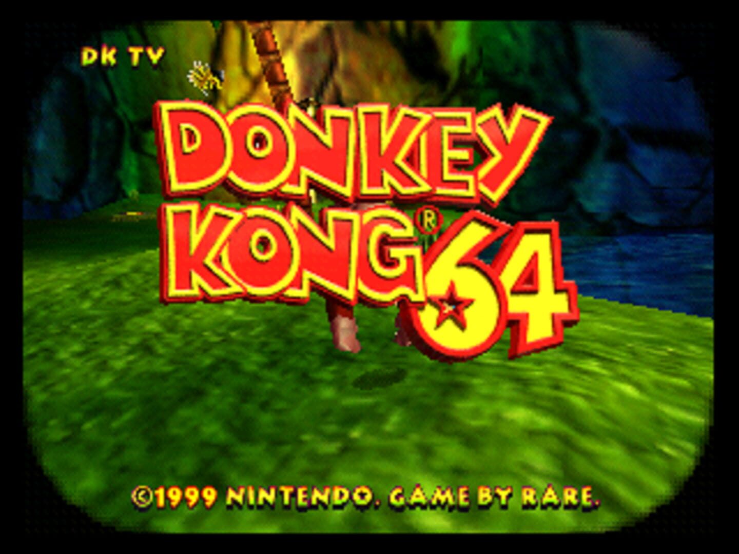 Donkey Kong 64: Tag Anywhere screenshot 1
