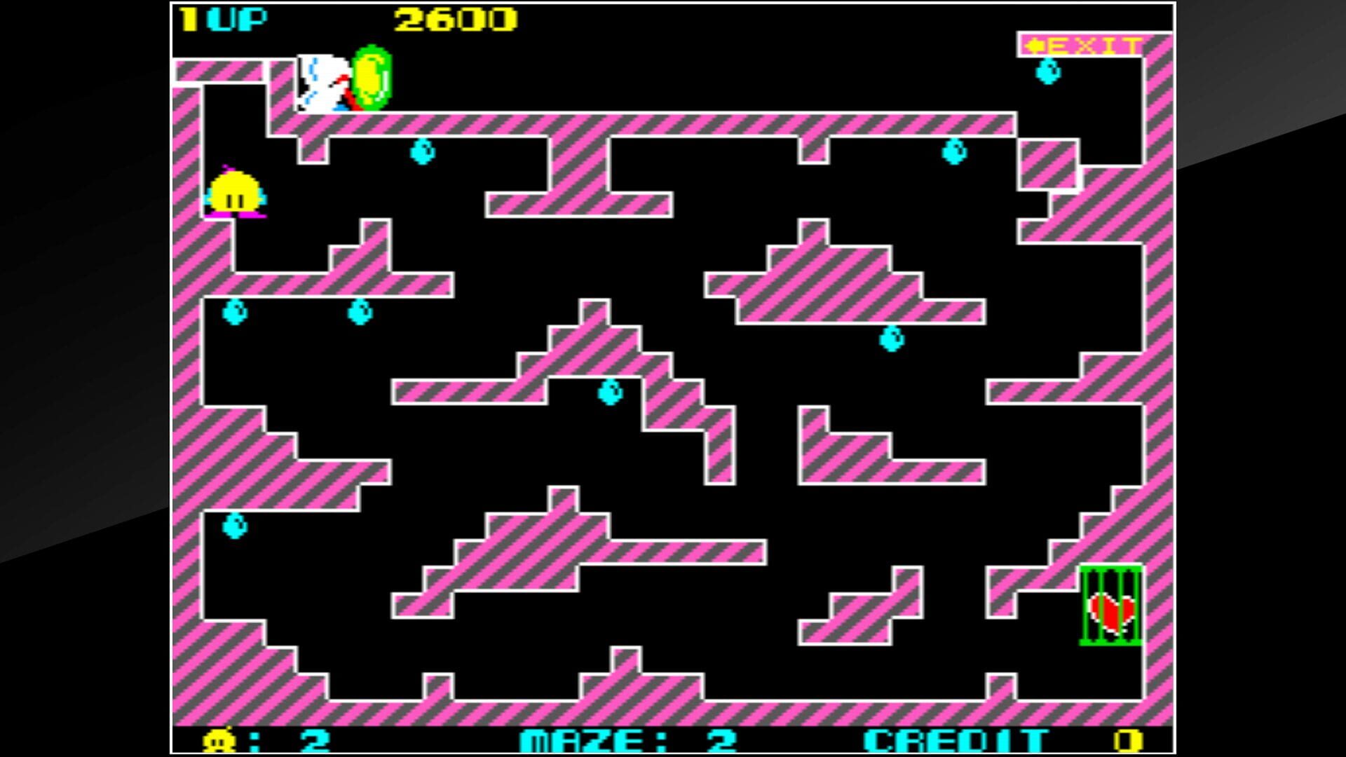 Arcade Archives: Chack'n Pop screenshot 9