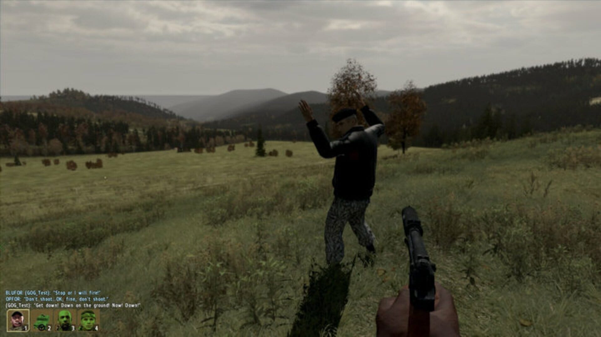 Arma 2: Combined Operations screenshot 3