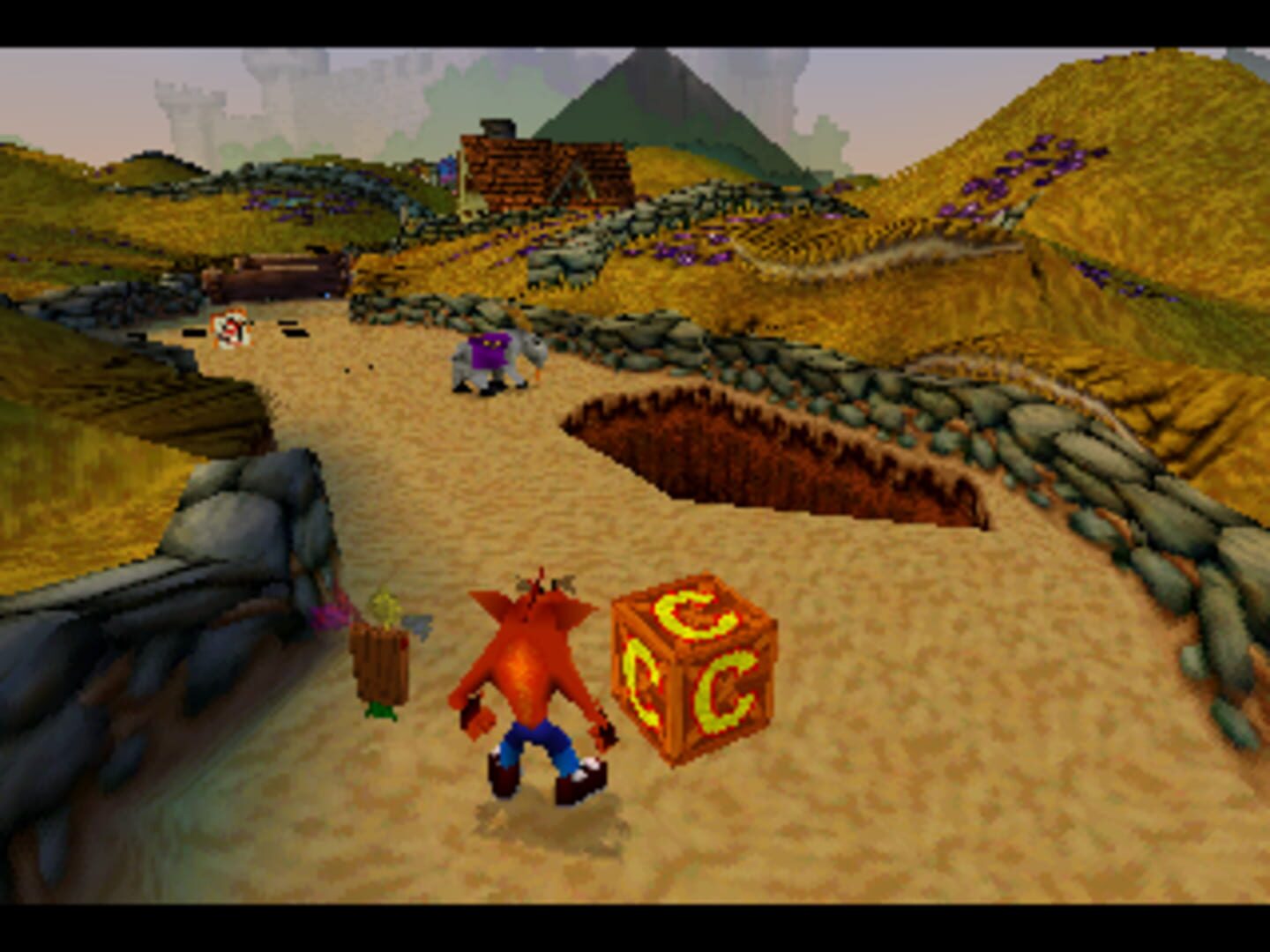 Crash Bandicoot: Warped screenshot 4