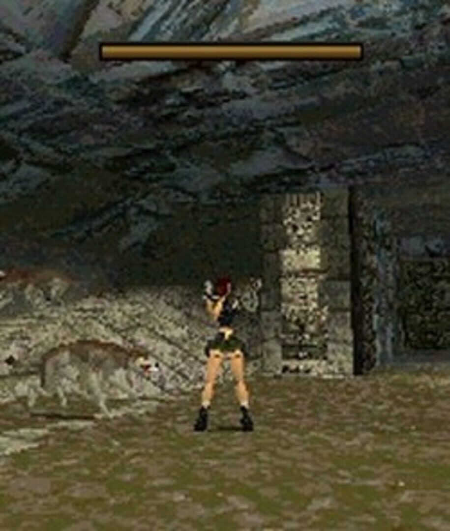 Tomb Raider screenshot 3