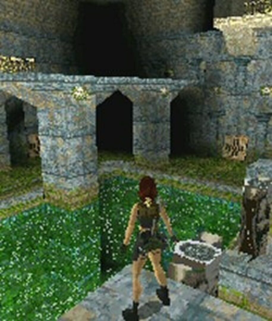 Tomb Raider screenshot 4