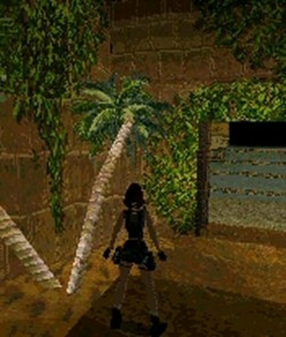 Tomb Raider screenshot 5
