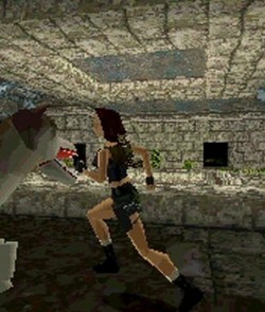 Tomb Raider screenshot 6