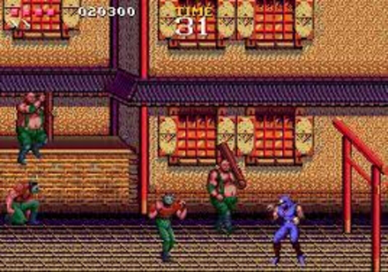 Ninja Gaiden screenshot 2