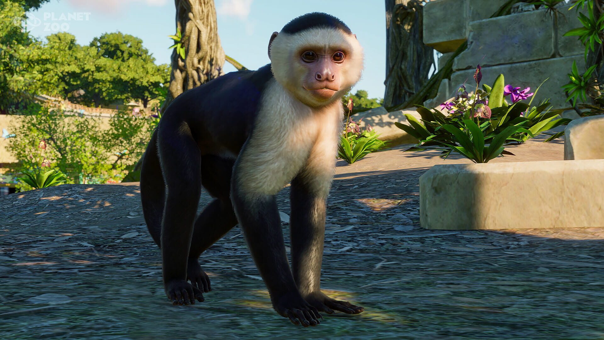 Planet Zoo: South America Pack screenshot 9