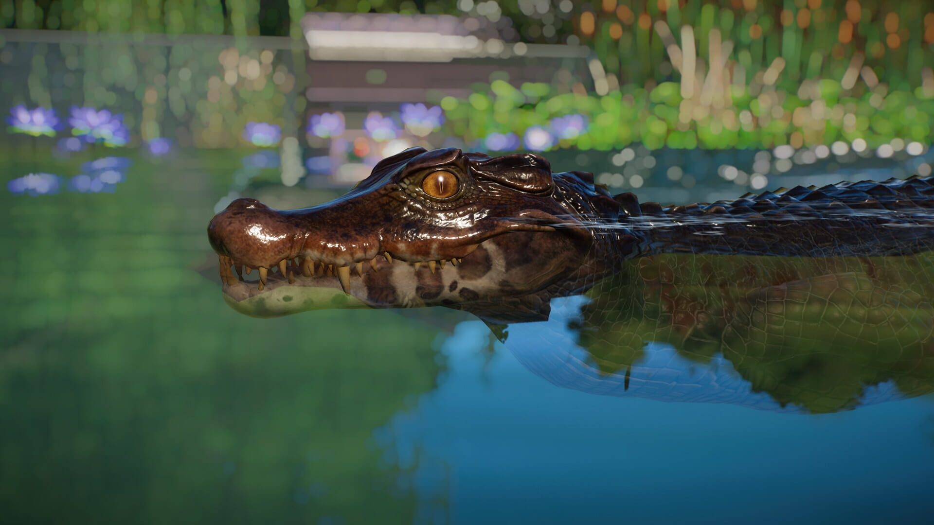 Planet Zoo: Aquatic Pack screenshot 11