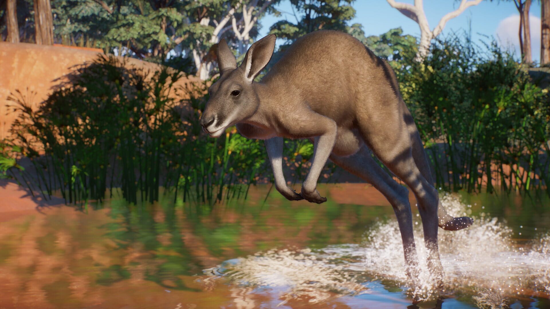 Planet Zoo: Australia Pack screenshot 4