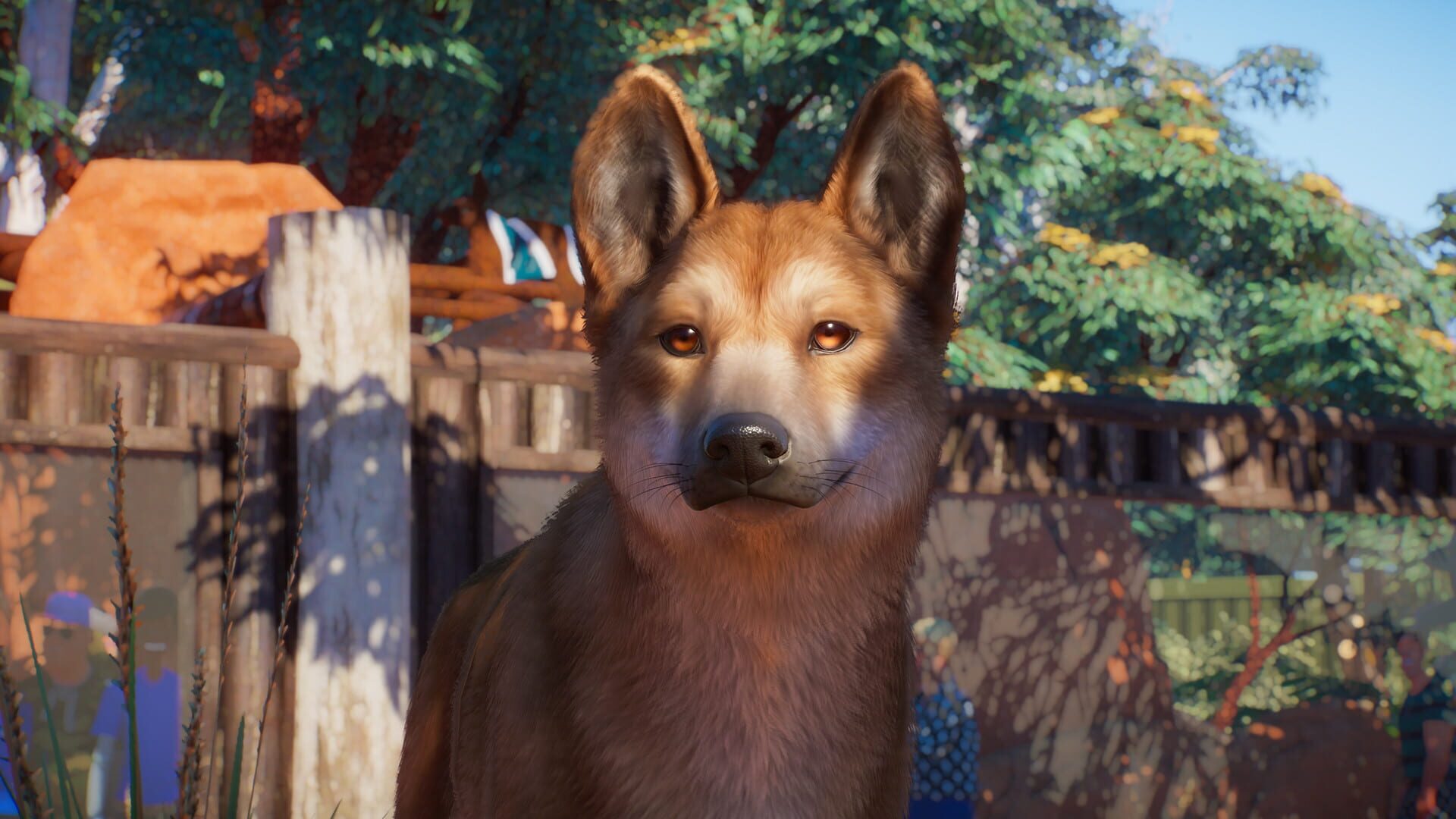 Planet Zoo: Australia Pack screenshot 6