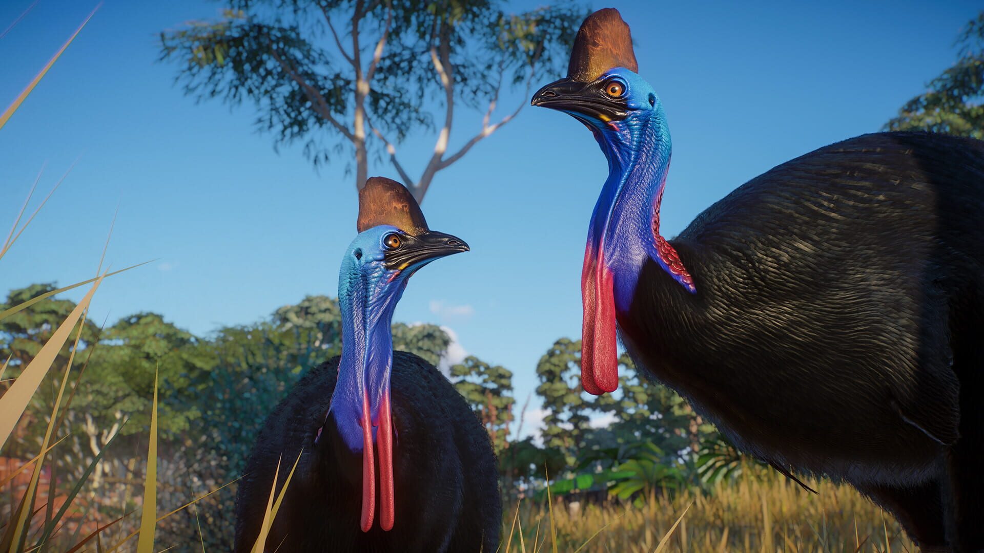 Planet Zoo: Australia Pack screenshot 8