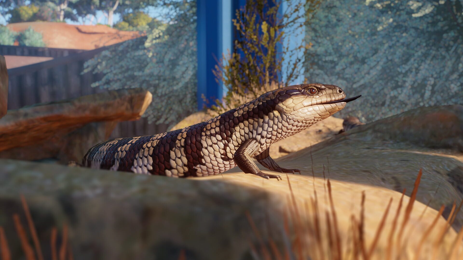 Planet Zoo: Australia Pack screenshot 10