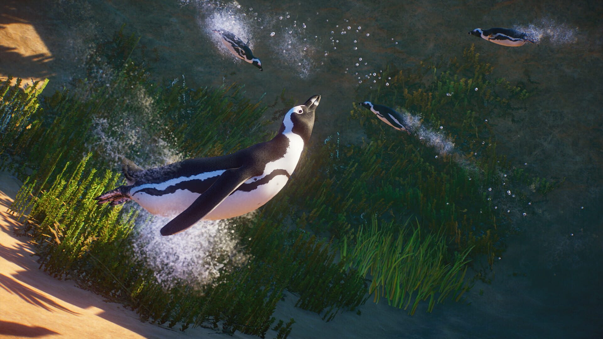 Planet Zoo: Africa Pack screenshot 6