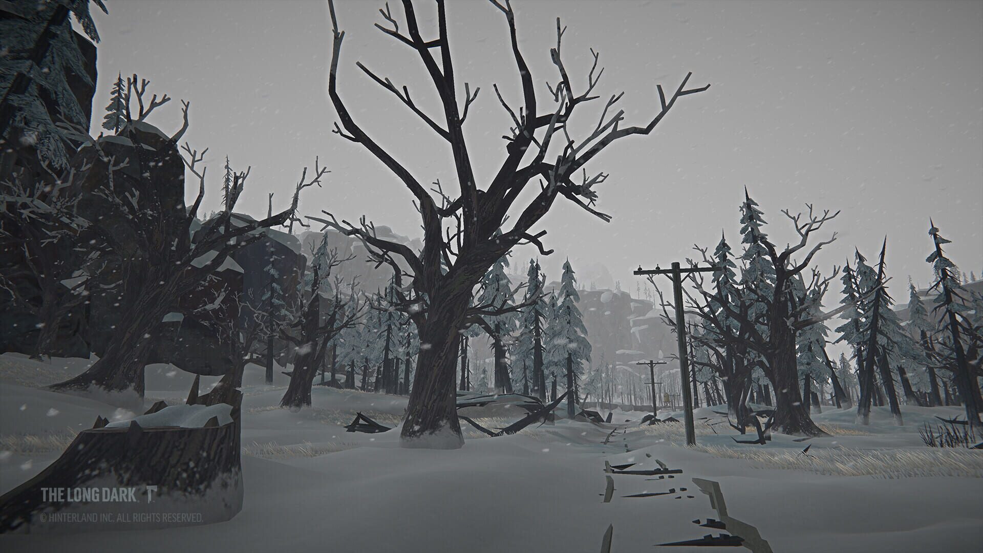 The Long Dark: Tales from the Far Territory screenshot 9