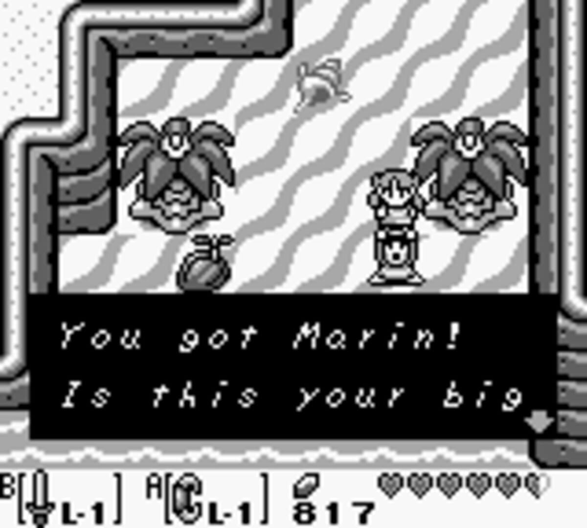 The Legend of Zelda: Link's Awakening screenshot 1