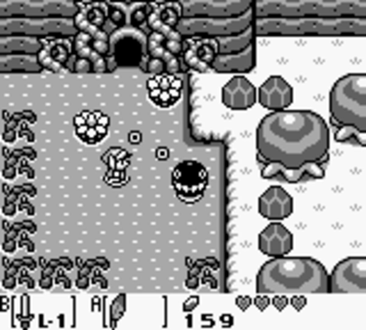 The Legend of Zelda: Link's Awakening screenshot 8