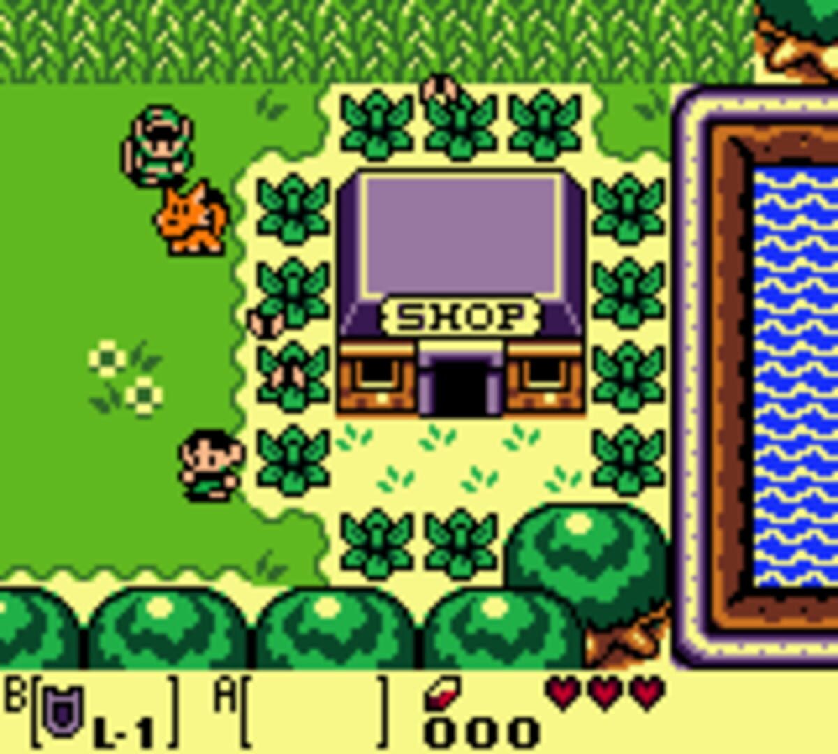 The Legend of Zelda: Link's Awakening DX screenshot 7